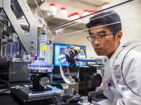 定制生物墨水3D打印出人类胰岛，为治疗Ⅰ型糖尿病带来新希望
