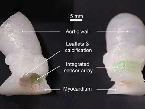 明尼苏达大学： 硅胶3D打印心脏瓣膜模型（内含软质传感器）