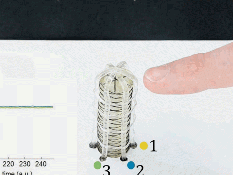 林茨大学：“甜蜜的”3D打印软体机器人？