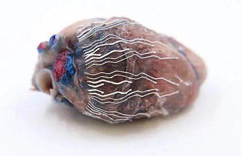 普渡大学：硅胶3D打印超薄可拉伸的生物传感器