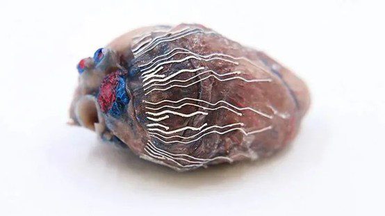 普渡大学：硅胶3D打印超薄可拉伸的生物传感器