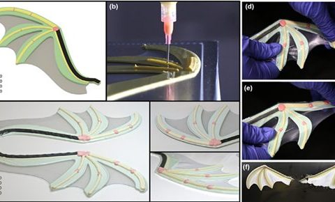 SUTD：3D打印软体机器人合成材料新突破