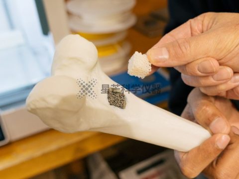 新南威尔士大学堪培拉校区 3D 打印骨支架：为骨再生提供更具仿生效果的解决方案