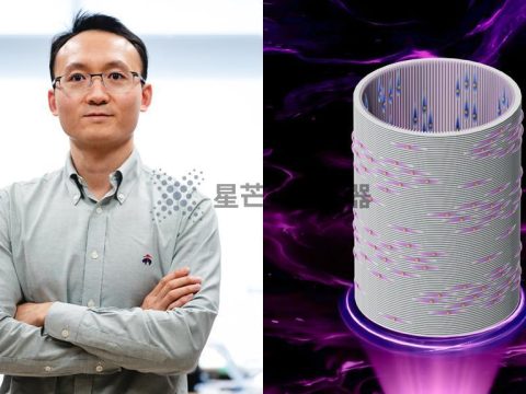 3D 打印可生物降解支架为改善心脏搭桥移植物提供新可能