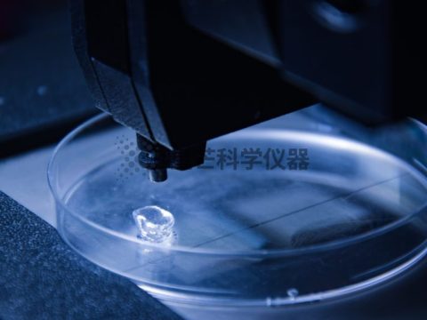 德国嘉利达（GELITA）与Black Drop合作研发用于3D生物打印的GelMA生物墨水