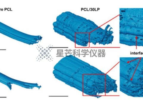 3D 打印生物活性骨植入体新研究展现优异性能