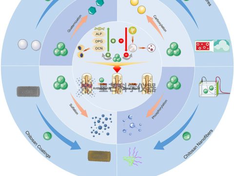 壳聚糖基生物材料在感染性骨缺损修复中的应用