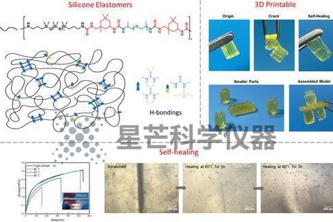 医用级硅氧烷弹性体 3D 打印技术在个性化软组织植入物中的应用