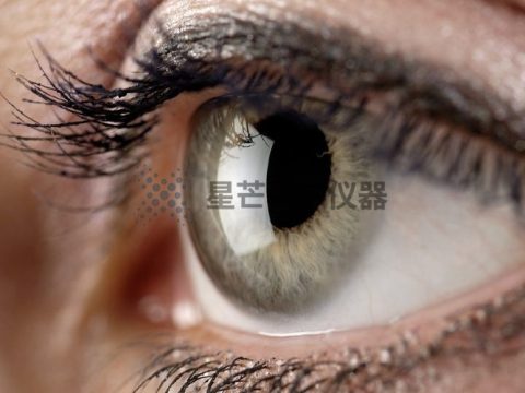 瑞士科学家利用 3D 打印技术制造个性化人工角膜