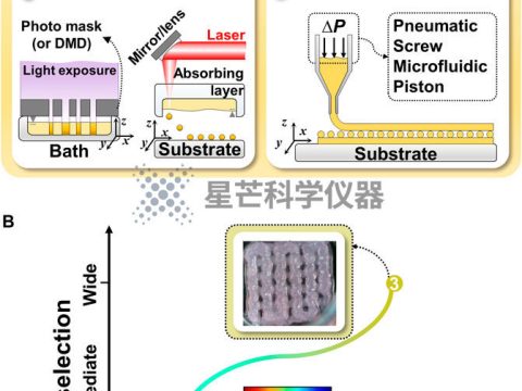 基于天然生物材料的多组分水凝胶生物墨水在 3D 肝脏组织生物打印中的研究进展
