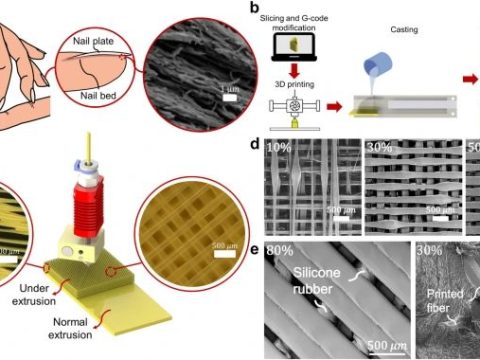 基于欠挤出的生物启发式 3D 打印：实现软质与硬质材料牢固结合