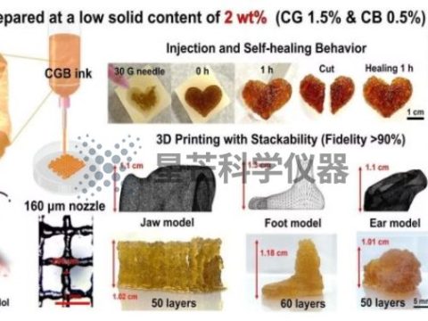 台湾大学研究人员研发可用于3D生物打印的葡萄糖响应型水凝胶