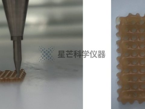释放创新活力：3D打印生物材料在动物模型股骨与胫骨缺损修复中的应用——系统综述与荟萃分析