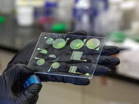 宾夕法尼亚大学突破：3D 打印 CLCEs 材料实现动态变色与应力响应