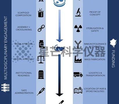 3D生物打印：个性化医疗的核心技术支撑与发展图景