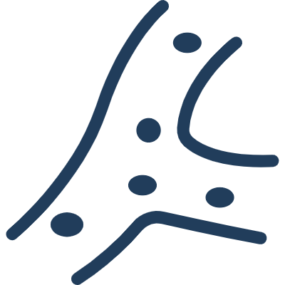 高保真性