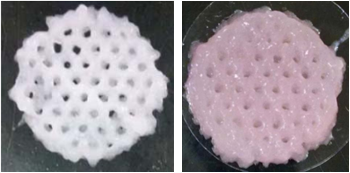 开发了一种适用于 3D 生物打印骨组织工程支架的新型藻酸盐 - 聚乙烯醇 - 羟基磷灰石（alginate-PVA-HA）水凝胶，通过3D打印技术制造具有高形状保真度的骨支架，成功将 MC3T3 细胞封装于该水凝胶中，打印后细胞存活率达 95.6%，经钙浴处理后仍保持 77.5% 的存活率