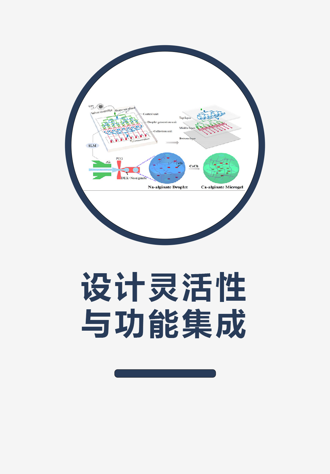 设计灵活性与功能集成