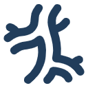 模型定制
