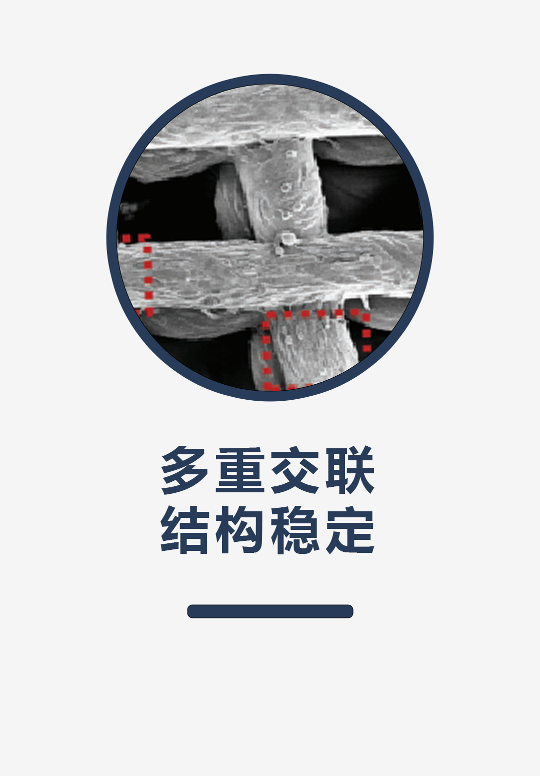 多重交联，结构稳定