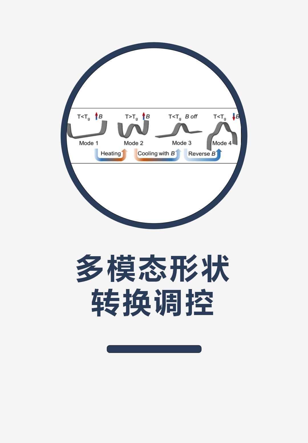 多模态形状转换调控