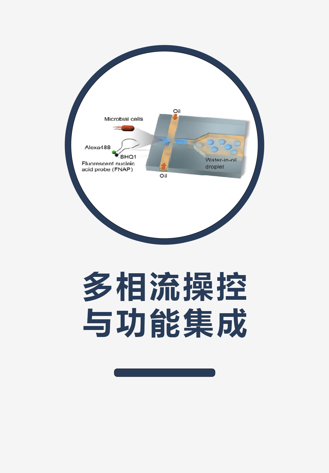 多相流操控与功能集成