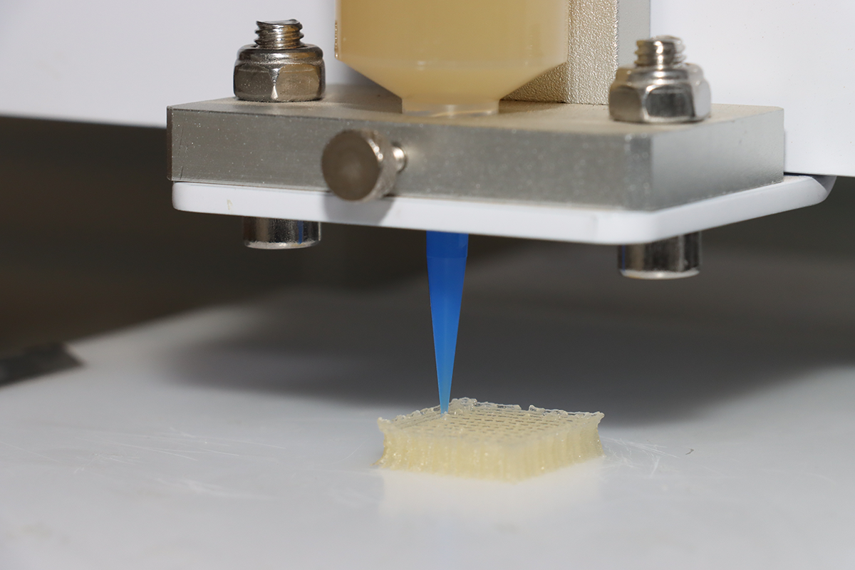 xx大学利用3D 打印壳聚糖墨水打印出负载生长因子的CS支架材料，成功应用于软骨修复，促进软骨细胞的增殖和新组织的生成，为组织修复和再生提供支持。