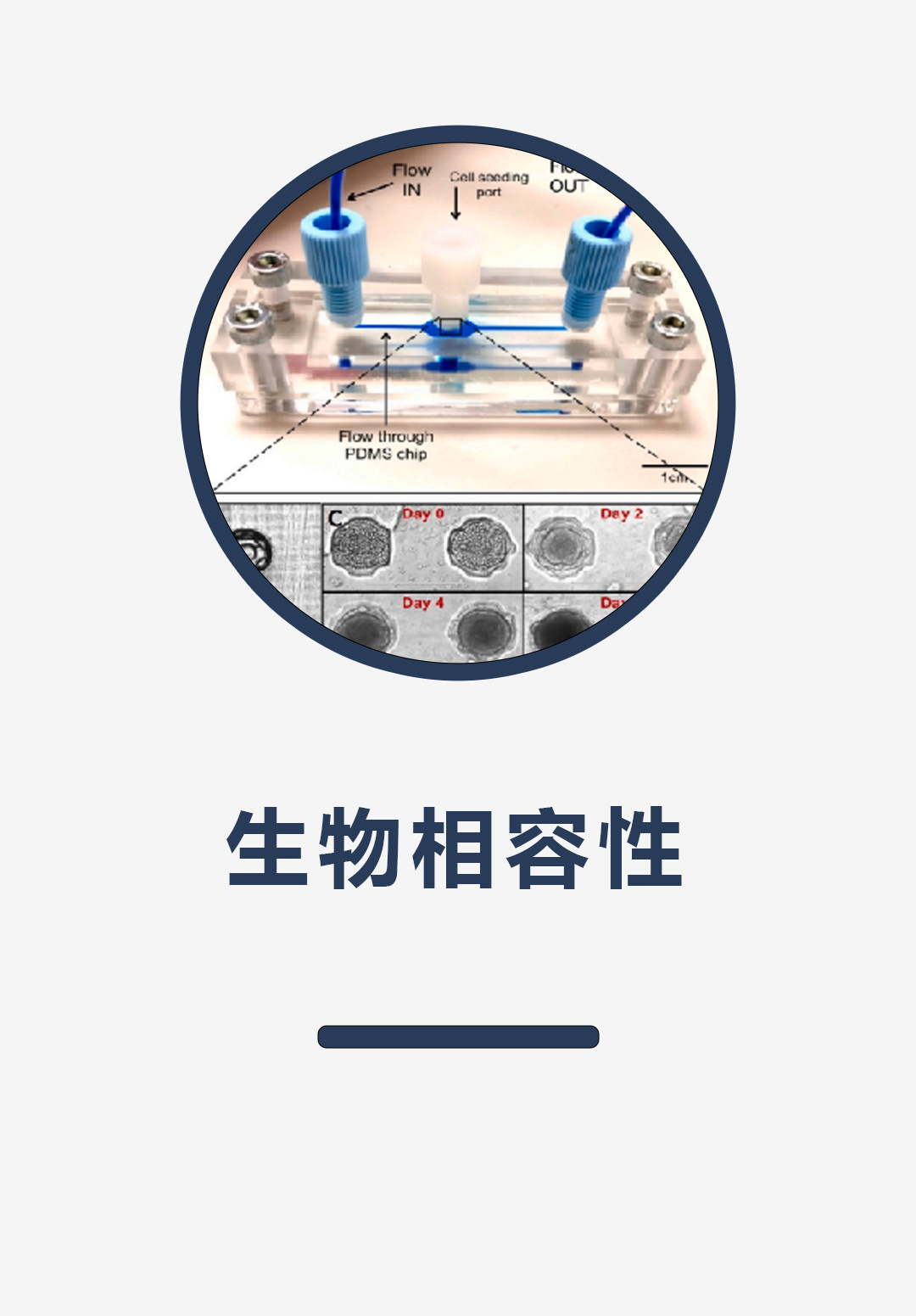 生物相容性