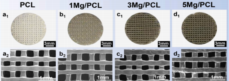 开发了含增强成骨和生物矿化的 3D 打印定制 Mg/PCL 复合支架，实验表明具有优异的骨修复能力，体外实验显示其力学性能优异，体内研究表明可促组织生长和新骨形成。
