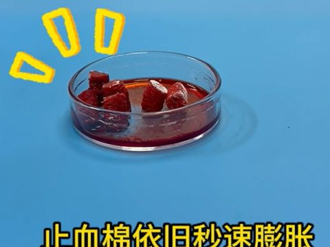 天然止血海绵